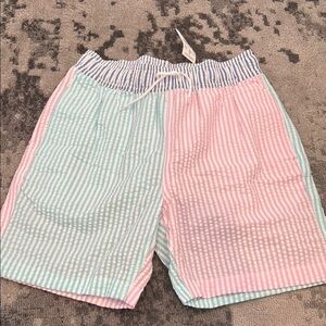 NWT JCREW CREWCUTS SZ 16 Striped Pastel Swim Shorts